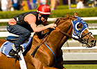 Classic Offers Tough Handicapping Challenge Classic Offers Tough Handicapping Challenge