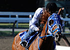 Summer Bird Posts Travers Work