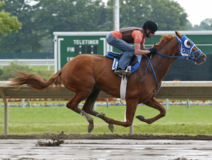 Summer Bird Puts in Final Breeze for Haskell Summer Bird Puts in Final Breeze for Haskell