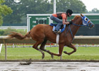 Summer Bird Puts in Final Breeze for Haskell