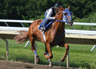 Haskell Contenders Work at Monmouth Park Haskell Contenders Work at Monmouth Park