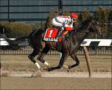Summer Doldrums Tries for Third Straight Score in Gotham Summer Doldrums Tries for Third Straight Score in Gotham