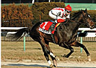 'Doldrums' Sharp for Presque Isle Mile