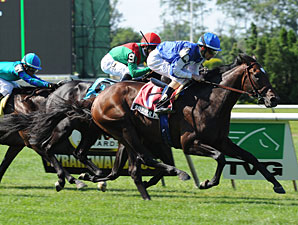 Summer Front Facing Full Field in Miami Mile Summer Front Facing Full Field in Miami Mile