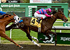 No Catching Summer Hit in All American Stakes No Catching Summer Hit in All American Stakes