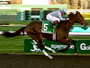 Summer Hit Shows His Heels in Berkeley 'Cap Summer Hit Shows His Heels in Berkeley 'Cap