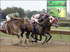 Summer Mis a Hit in Four-Horse TCA Photo Summer Mis a Hit in Four-Horse TCA Photo