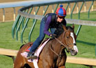 R Heat Lightning Leads Kentucky Oaks Work Tab