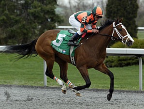 Summer Soiree Bought by Team Valor Summer Soiree Bought by Team Valor