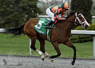 Summer Soiree Romps in Bourbonette Oaks Summer Soiree Romps in Bourbonette Oaks