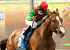 Summer Soiree Helps Irwin Reach Milestone Summer Soiree Helps Irwin Reach Milestone