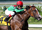 Summer Soiree Takes Next Step in Del Mar Oaks