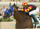 San Diego winner Sun Boat Euthanized San Diego winner Sun Boat Euthanized