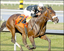 Sun King Retired to Darby Dan Sun King Retired to Darby Dan