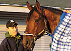 First Winner for Millionaire Sun King First Winner for Millionaire Sun King