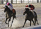 Sunbean Shines on Louisiana Champions Day Sunbean Shines on Louisiana Champions Day
