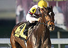 Sunbean Defends Title on LA Champions Day Sunbean Defends Title on LA Champions Day