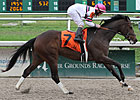 Sunbean, Heitai Star in Louisiana Legends Sunbean, Heitai Star in Louisiana Legends