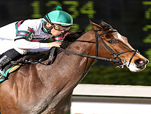 Sunbean Shines in Premier Night Championship Sunbean Shines in Premier Night Championship