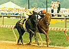 Easy Goer vs. Sunday Silence Easy Goer vs. Sunday Silence