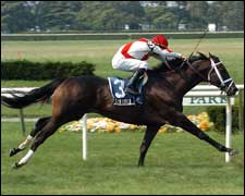 Breeders' Cup Decision Time for Man o' War Field Breeders' Cup Decision Time for Man o' War Field