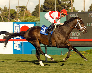 Grade I-Winning Stallion Sunriver Dead Grade I-Winning Stallion Sunriver Dead