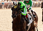 Sunset Glow Has Experience Edge in Debutante Sunset Glow Has Experience Edge in Debutante