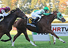 Athenia: Sunshine for Life a $49 Winner Athenia: Sunshine for Life a $49 Winner