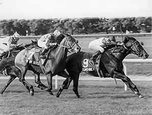 Grass Champion Sunshine Forever Dies Grass Champion Sunshine Forever Dies