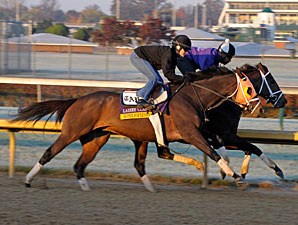 Super Espresso Retired; Booked to Tapit Super Espresso Retired; Booked to Tapit