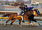 Super Espresso Retired; Booked to Tapit Super Espresso Retired; Booked to Tapit