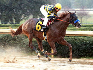 Super Ninety Nine Romps in Sloppy Southwest Super Ninety Nine Romps in Sloppy Southwest