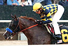 Super Ninety Nine, Den's Legacy: No KY Derby Super Ninety Nine, Den's Legacy: No KY Derby