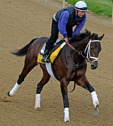 Early Betting Pegs Super Saver Derby Favorite Early Betting Pegs Super Saver Derby Favorite
