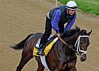 Early Betting Pegs Super Saver Derby Favorite Early Betting Pegs Super Saver Derby Favorite