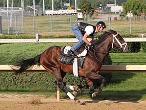 Super Saver, Others Breeze at Churchill Downs Super Saver, Others Breeze at Churchill Downs