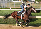 Super Saver, Others Breeze at Churchill Downs