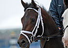 Super Saver Jogs; Pletcher, Casner Pleased Super Saver Jogs; Pletcher, Casner Pleased