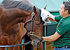 Super Saver Slideshow