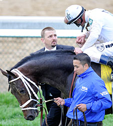 La Troienne Linebreeding Still Relevant La Troienne Linebreeding Still Relevant