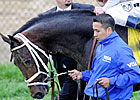 La Troienne Linebreeding Still Relevant