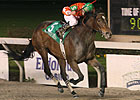 Louisiana Champion Superior Storm Retired Louisiana Champion Superior Storm Retired