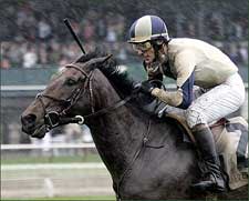 Late-Rolling Sur La Tete Grabs Royal Chase Late-Rolling Sur La Tete Grabs Royal Chase