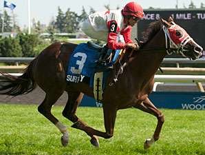 41-1 Surtsey Lights Up Tote in Ontario Damsel 41-1 Surtsey Lights Up Tote in Ontario Damsel