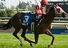 41-1 Surtsey Lights Up Tote in Ontario Damsel 41-1 Surtsey Lights Up Tote in Ontario Damsel