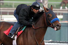 Canani All Smiles After Sweet Catomine's Drill Canani All Smiles After Sweet Catomine's Drill