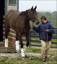 Sweet Catomine Retired; Will Be Bred to A.P. Indy Sweet Catomine Retired; Will Be Bred to A.P. Indy