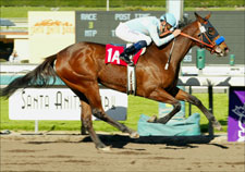 Sweet Catomine Glides to Santa Ysabel Win Sweet Catomine Glides to Santa Ysabel Win