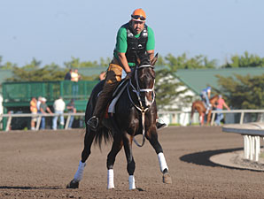 Sweet Ducky Sold; To Run in UAE Derby Sweet Ducky Sold; To Run in UAE Derby