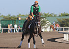 KY Derby Still Possibility for Sweet Ducky KY Derby Still Possibility for Sweet Ducky